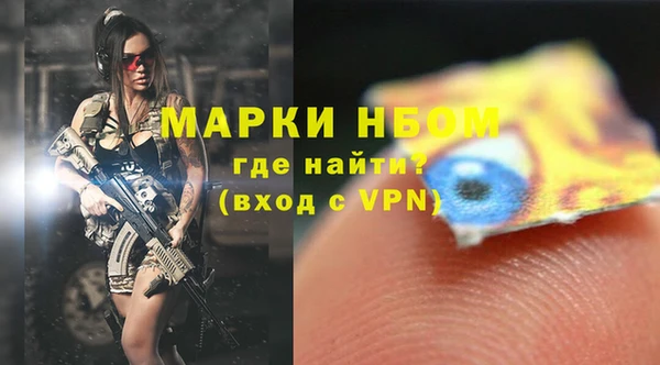 прущие грибы Елабуга