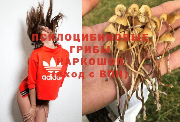 бутират Зеленодольск