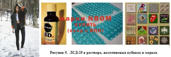 кокс Елизово