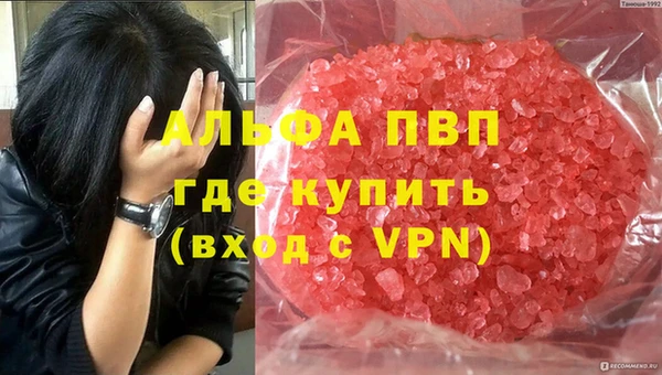 кокс Елизово