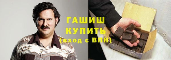 индика Няндома