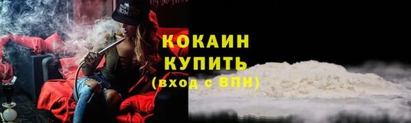 прущие грибы Елабуга