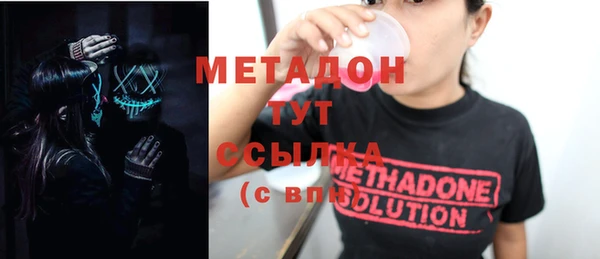 прущие грибы Елабуга
