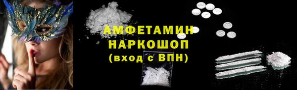 прущие грибы Елабуга