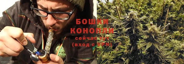 ПСИЛОЦИБИНОВЫЕ ГРИБЫ Зерноград