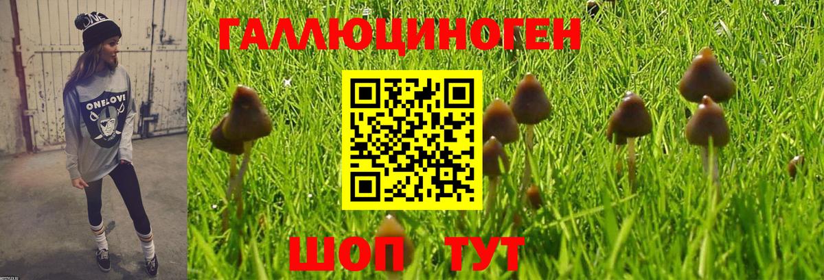 Новоалександровск  Галлюциногенные грибы ЛСД  Вход с VPN 